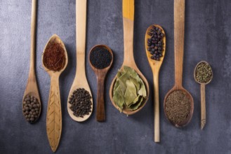 Collection spice