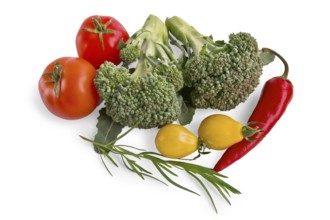 Two branches of broccoli, red peppers, red and yellow tomatoes, a sprig of tarragon isolated on a