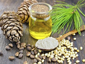Cedar Flour in a wooden spoon, cedar nuts and two cones, cedar oil in a glass jar, a cedar branch