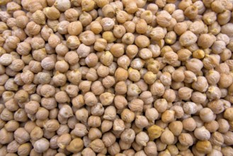 Full-Frame Close-Up of White Chickpeas, Egyptian Peas, Top View