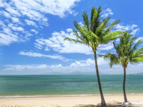An image of the Magnetic Island Australia