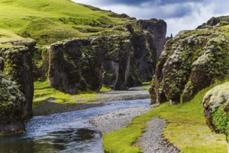 The beginning of the canyon Fyadrarglyufur, Iceland. The sheer cliffs covered with green moss