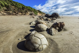 Series of mysterious round boulders Moeraki and their shattered remnants on a sandy beach. New