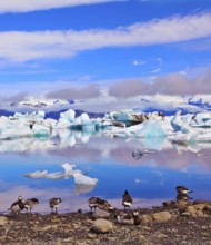 Jökulsárlón Glacial Lagoon in Iceland. Clouds, ice floes floating in the ocean, and polar birds
