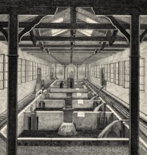 Fish farming at Huningue, Haut-Rhin department, Alsace, France, 19th century