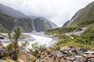 An image of the riverbed of the Franz Josef Glacier, New Zealand