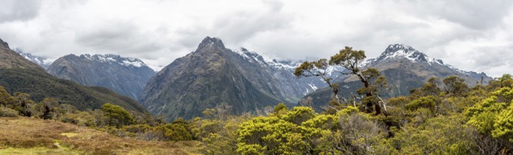 Panoramic view of the Southern Alps at Key Summit, Fiordland National Park, South Island of New