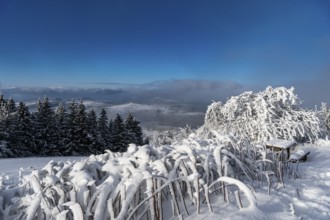 Winter landscape in the centre of Germany - the Wasserkuppe in the Rhön14