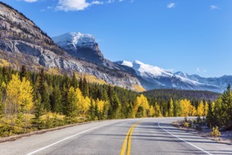 The asphalt highway goes into the distance. Indian summer in the Canadian Rockies. The first snow