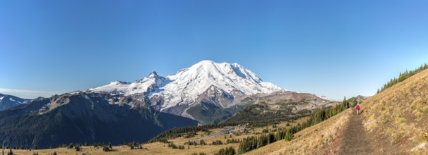 Cloudless view on Mt Rainier from Mt Fremont Lookout Trail, USA