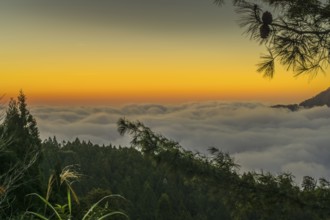Sunset, fog in the valley, mountain landscape, low mountain range southwest of Alishan Township,