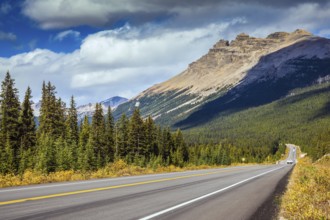Highway in Banff National Park. Rocky Mountains. Mountains and colorful autumn forest illuminated
