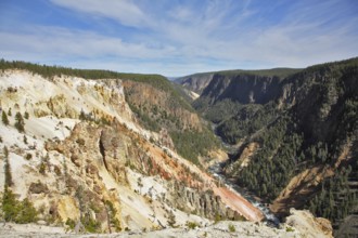 Autumn to Yellowstone national park. Mountains, the river and a wood