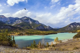 Lush multicolor autumn in the Canadian Rockies. The valley and azure icy water of the Kananaskis