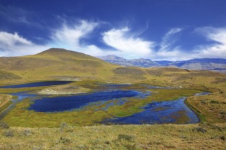 National Park Torres del Paine. Dreamland Patagonia. Blue water grassy lake