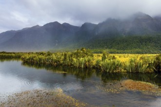 Mirror Lake. Road to Milford Sound on a foggy morning. Clouds and fog cover the mountains. The