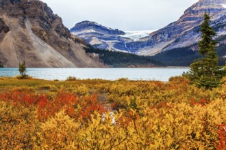 Red, yellow and orange autumn grass on the shores of the Bow Lake. Lake cold glacial water is
