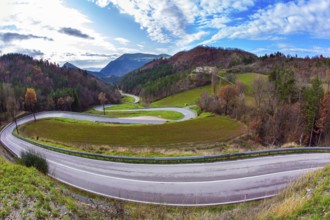 Wet asphalt. Cloudy winter day. The picturesque mountain slopes are covered with coniferous forest.
