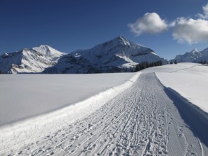 Mountains near Gstaad in the winter, Wispile