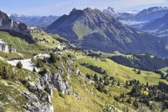 Magnificent Swiss Alps in early autumn. Green alpine meadows side by side with the first light snow