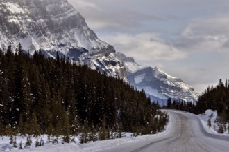 Rocky Mountains in Winter Canada Icefields Parkway