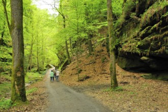 Malerweg and rock gate, in Uttewalder Grund, Saxon Switzerland