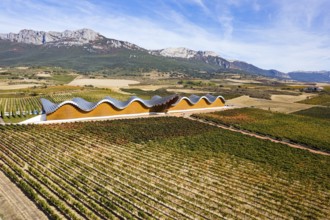 Bodegas Ysios winery and rows of vineyards. Laguardia, Spain. The architecture of Bodegas Ysios