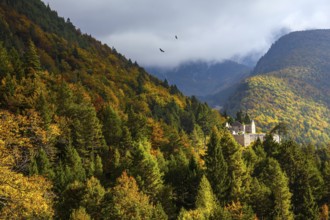 Pair of huge eagles circling in search of prey. Slovenia. Magnificent Julian Alps. Ancient ruins on