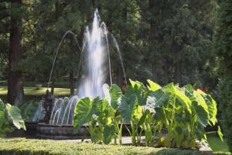 A magnificent fountain with a round bowl. A masterpiece of garden architecture - a park on Lake