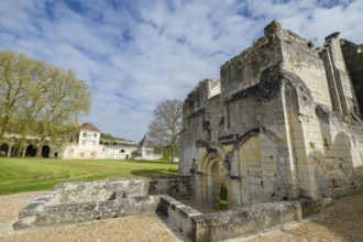 Church in ruins, 12th century, Cartuja del Liget, municipality of Chemillé-sur-Indrois, Loire