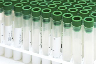 Covid-19 outbreak blood test. Close up view of empty test tubes for blood samples of Coronavirus