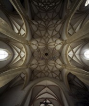 Göß near Leoben, monastery church, collegiate church