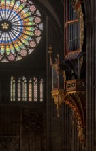 Strasbourg Cathedral, Cathédrale Notre-Dame de Strasbourg, interior, view to the west with the