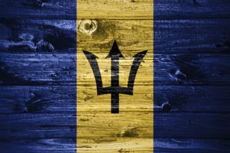 Barbados flag on wooden planks background wood flag