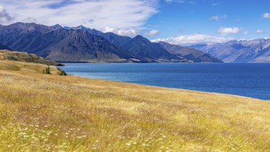 An image of the lake Wanaka, New Zealand south island