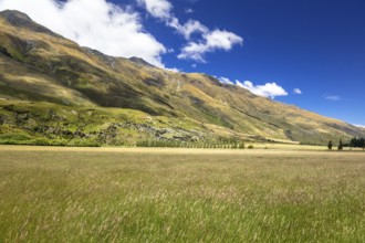 An image of a landscape scenery in south New Zealand