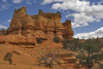 A red canyon in state of Utah in the USA