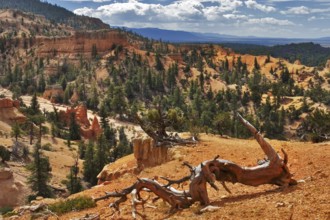A red canyon in state of Utah in the USA
