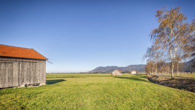 An image of an autumn scenery in bavaria germany