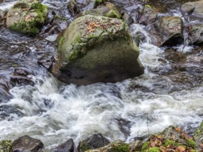 A stream with stones and flowing water. Experience the landscape in nature. Austria