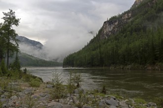 Low clouds in a mountain gorge. The beginning of the Orkho-Bom gorge, along this gorge the Sayan