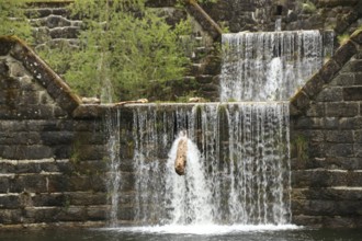 Retention basin in a mountain stream blocked by a log