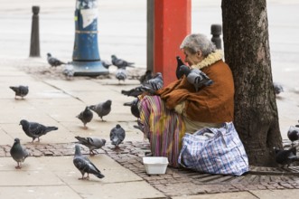 Sofia, Bulgaria - February 27, 2016: A homeless beggar woman is covered by pigeons while begging at