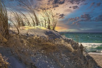 Dune landscape Baltic Sea Zingst in HDR look. Sea and beach in the background. Landscape photo