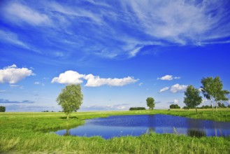 Small lake on field
