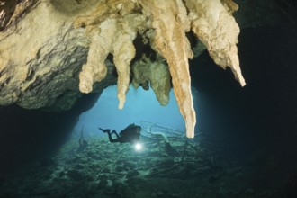 Diver in Car Wash Cenote Aktun Ha, Tulum, Yucatan Peninsula, Mexico