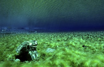 Mountain spring, mountain lake, Austria, Tyrol