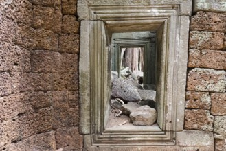 Views of the enchanted temple city, jungle temple, mystical, Ta Prohm, Buddhist temple complex,