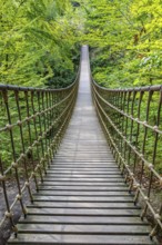 Wooden suspension bridge over a gorge, beautiful nature and trees in the Hunsrück, Germany