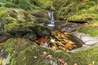 Cascade falls over mossy rocks in the vosges mountains